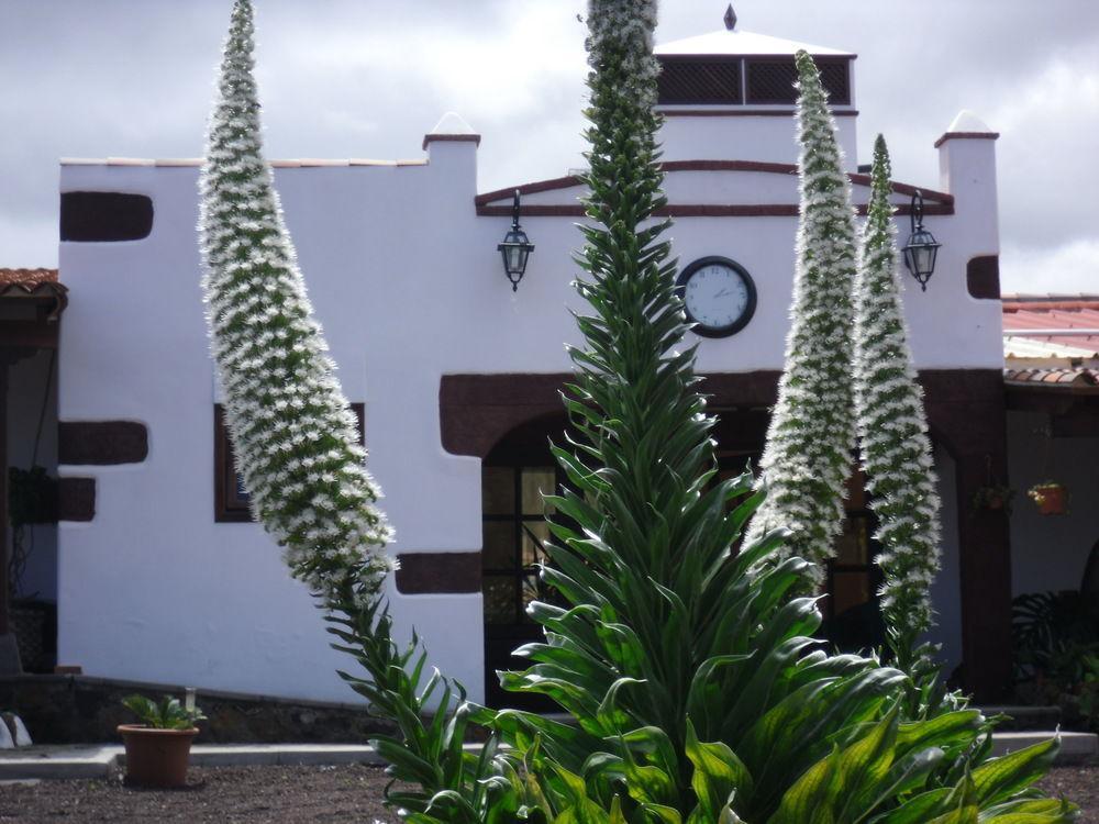Finca El Picacho Hotel Valle de Guerra Kültér fotó